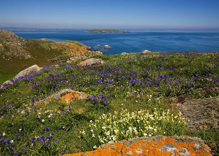 Hilltop Haven By Trident Homes Vakantiehuis